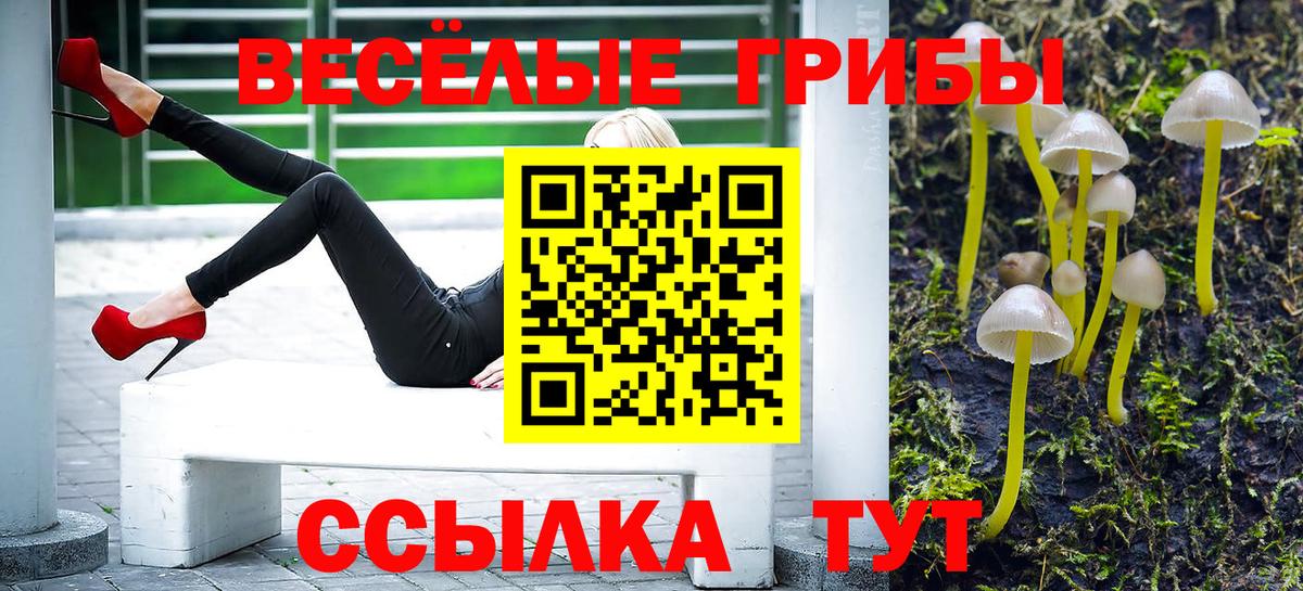 Симферополь  Галлюциногенные грибы MAGIC MUSHROOMS  продажа наркотиков  Вход с VPN  Галлюциногенные грибы Cubensis 